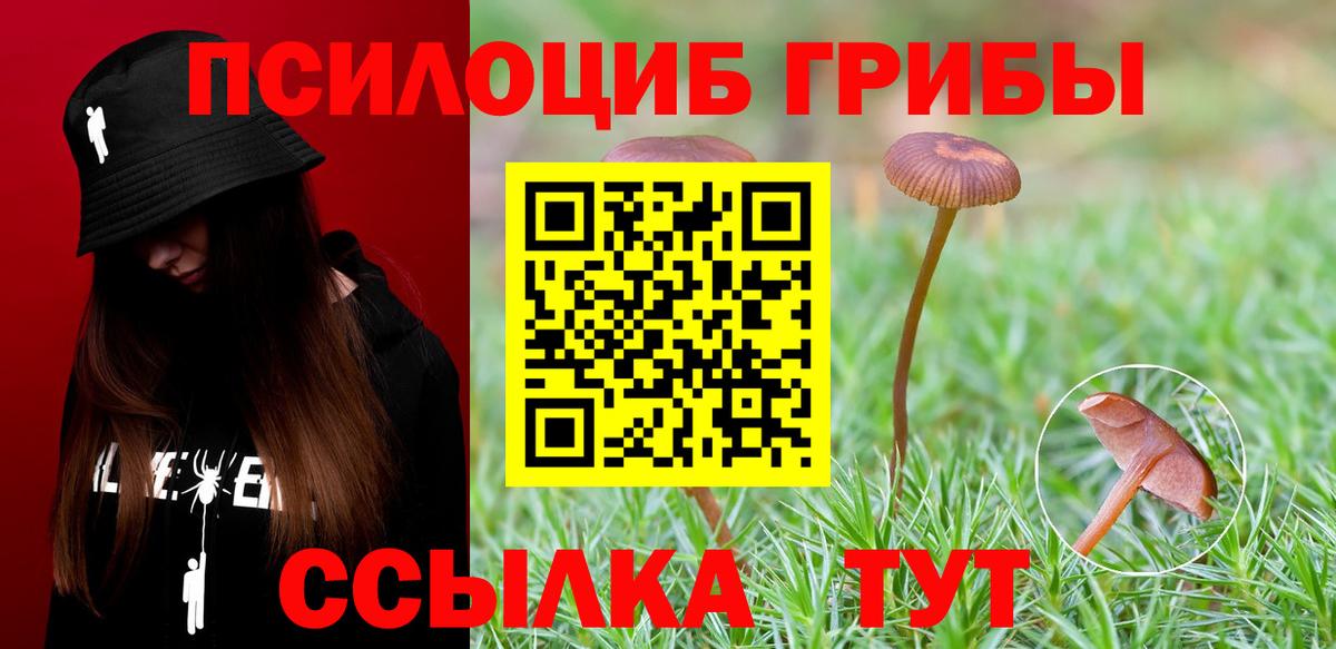 Галлюциногенные грибы ЛСД  закладка  Красноармейск  Вход с VPN  Псилоцибиновые грибы Psilocybe 