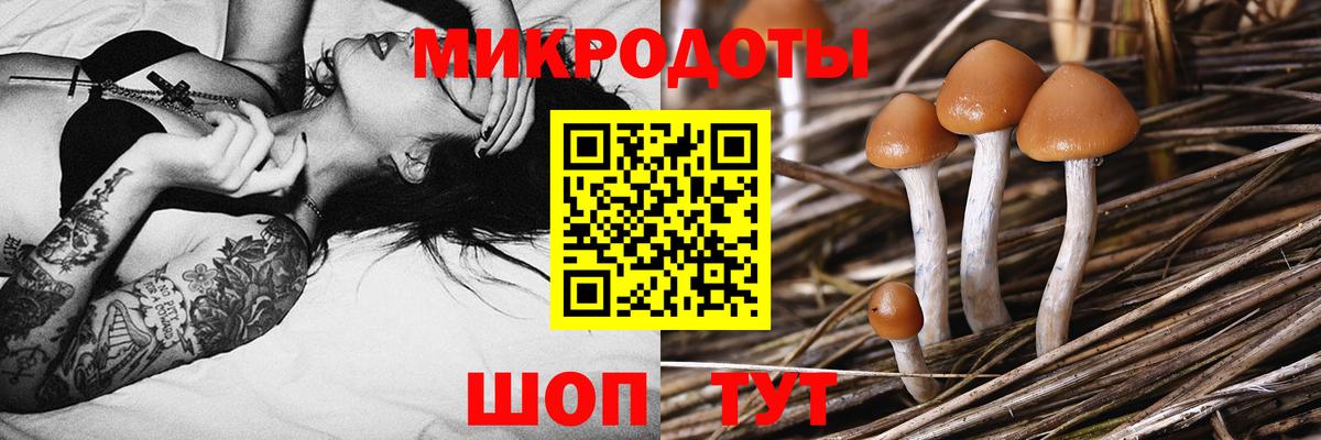 Галлюциногенные грибы GOLDEN TEACHER Красноармейск